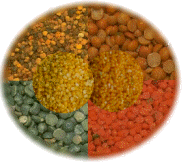 RadhaKishan Tuvar Dal, Borsad ( Gujarat, India ) based a famous brand name in India. We process and produce high quality oily, non-oily,tuvar / toor / arhar / pigeonpeas rich in protein ( Protein ). We supply pulses ( Pulses ) like chhana, mung ( moong ), urad ( urid ), massor, mogar available in attractive polypack, laminated, pouches. We supply basmati rice, krishna kamod rice, pickles ( awla, amla, lemon ), mango pulp of kesar. Radhakishan tuvar dal  is registered with AIAFI, APEDA . RadhaKishan is also spelt pulse ( Pulse ) processor and supplier from Borsad ( gujarat, india ). We supply to Ahmedabad,Anand, Baroda, Madras, Bangalore, Mysore, Rajkot, Pune, Jaipur, Coimbatore, Indore, USA, ( usa, United States of America ), United Arab Emirates, ( uae, UAE ), Kenya, Burma, Australia, China.  We are also into manufacturing of chemicals ( Chemicals ), White dextrine, Yellow dextrine, Geltridex, Printing gum .